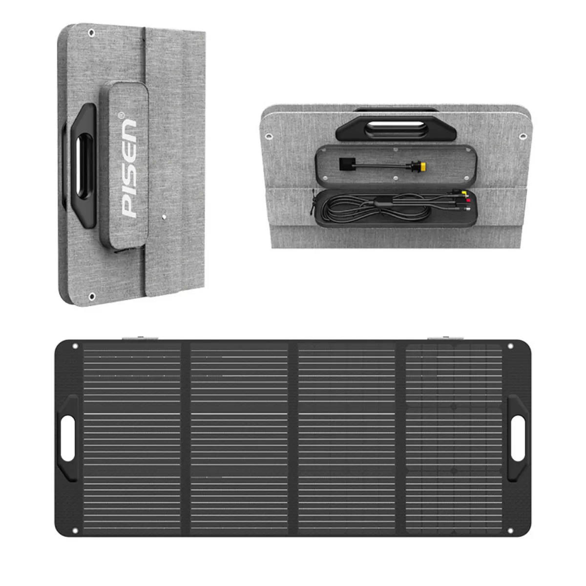 PISEN TP-SE01 100W