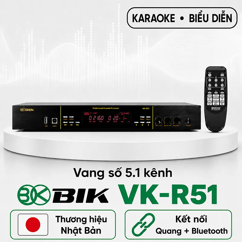 Vang số BIK VK-R51