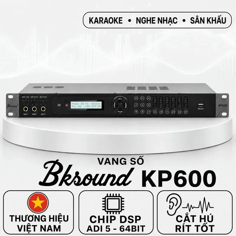 Vang số Bksound KP600