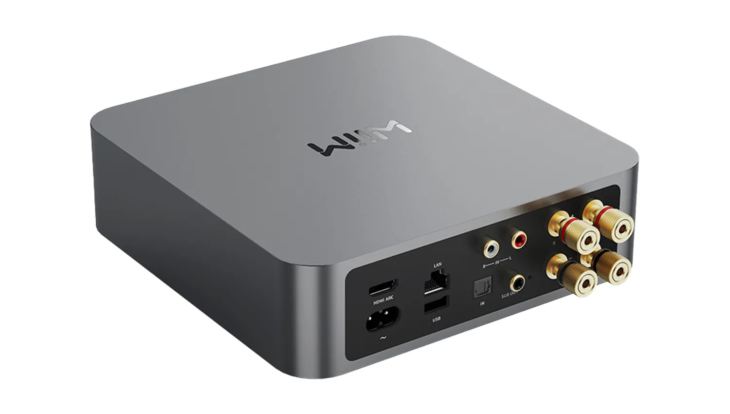 Amply Streaming Amplifier Wiim Amp