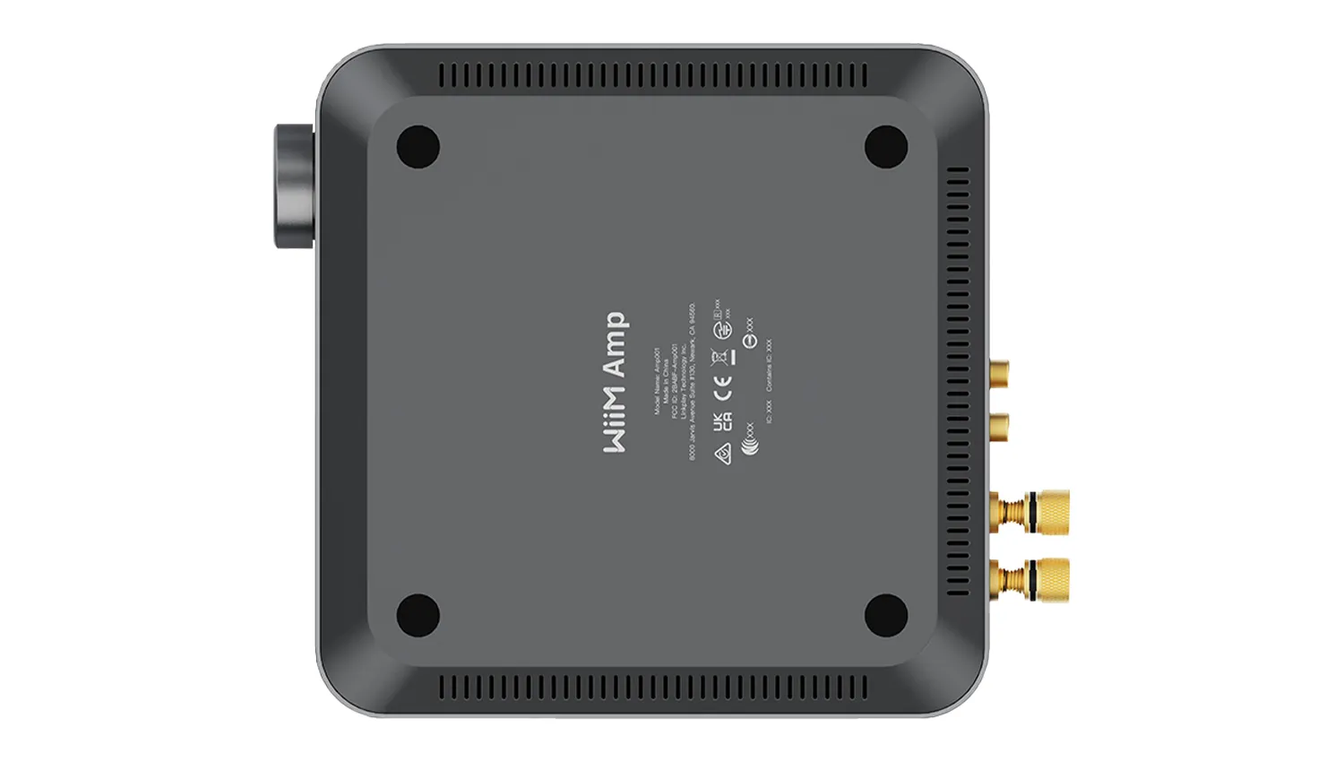 Amply Streaming Amplifier Wiim Amp