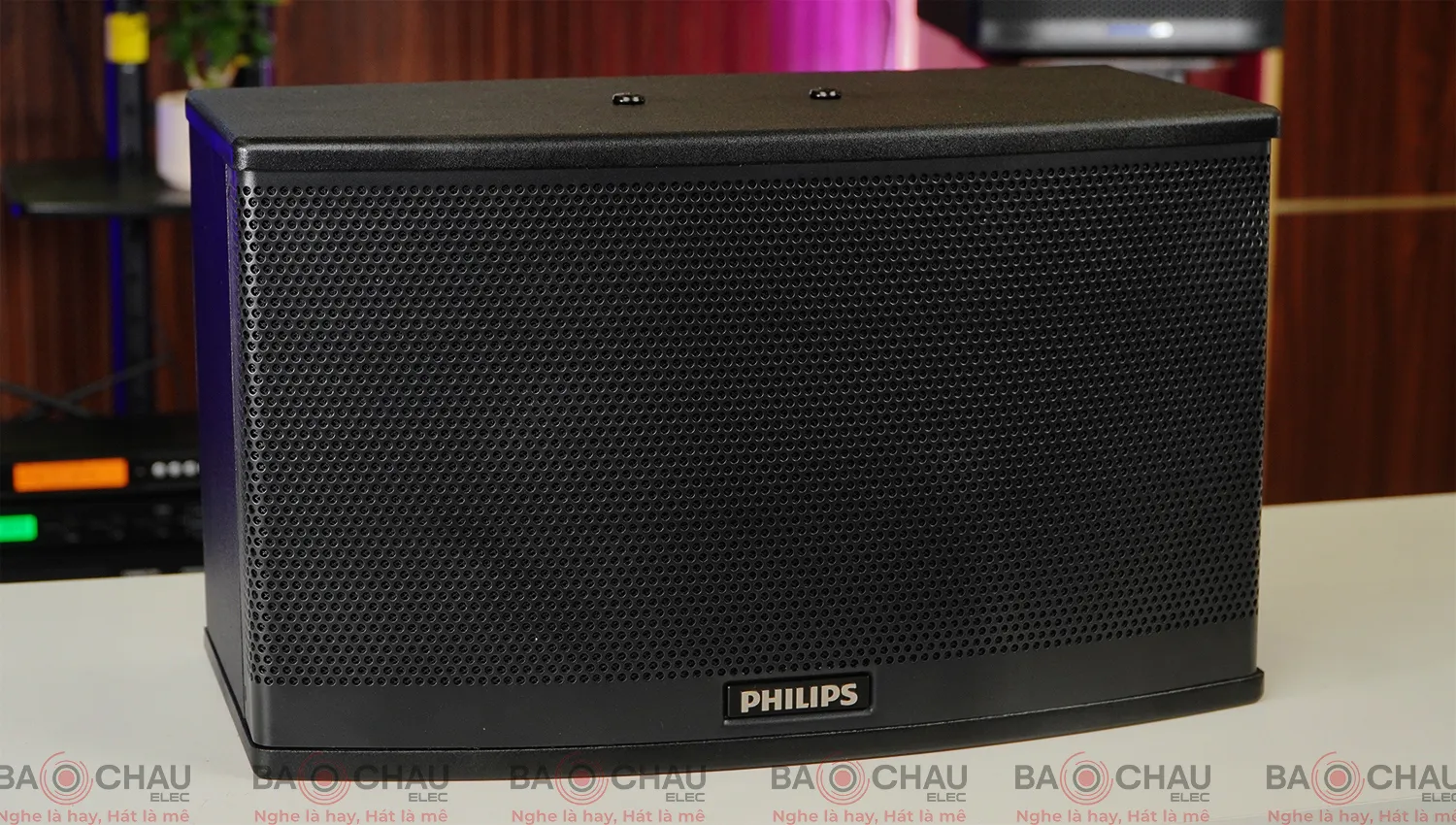 Loa Philips CSS1308/70