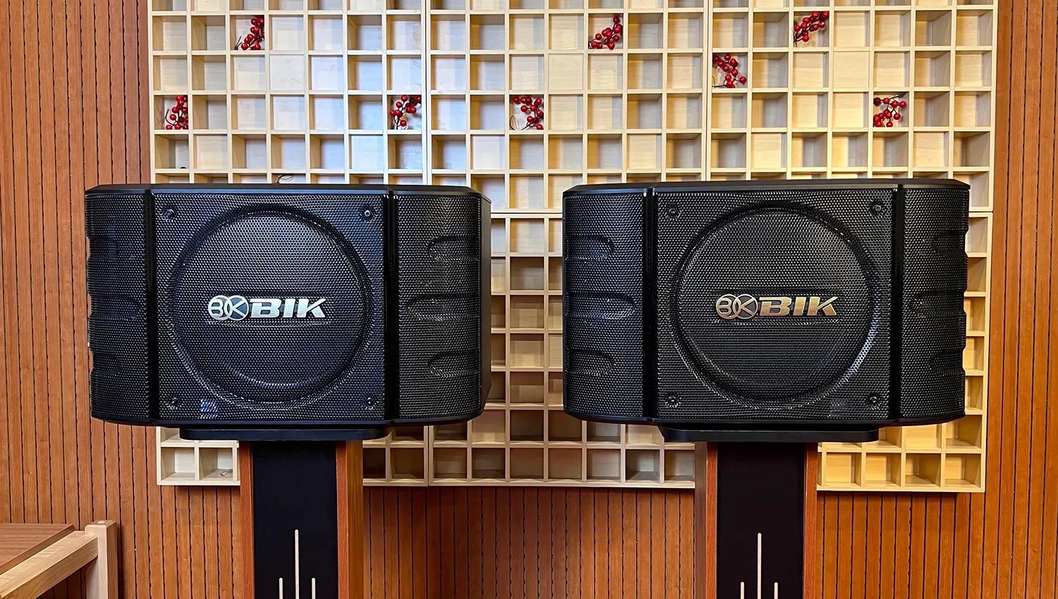 ảnh thực tế Loa karaoke Nhật BIK BS 999X