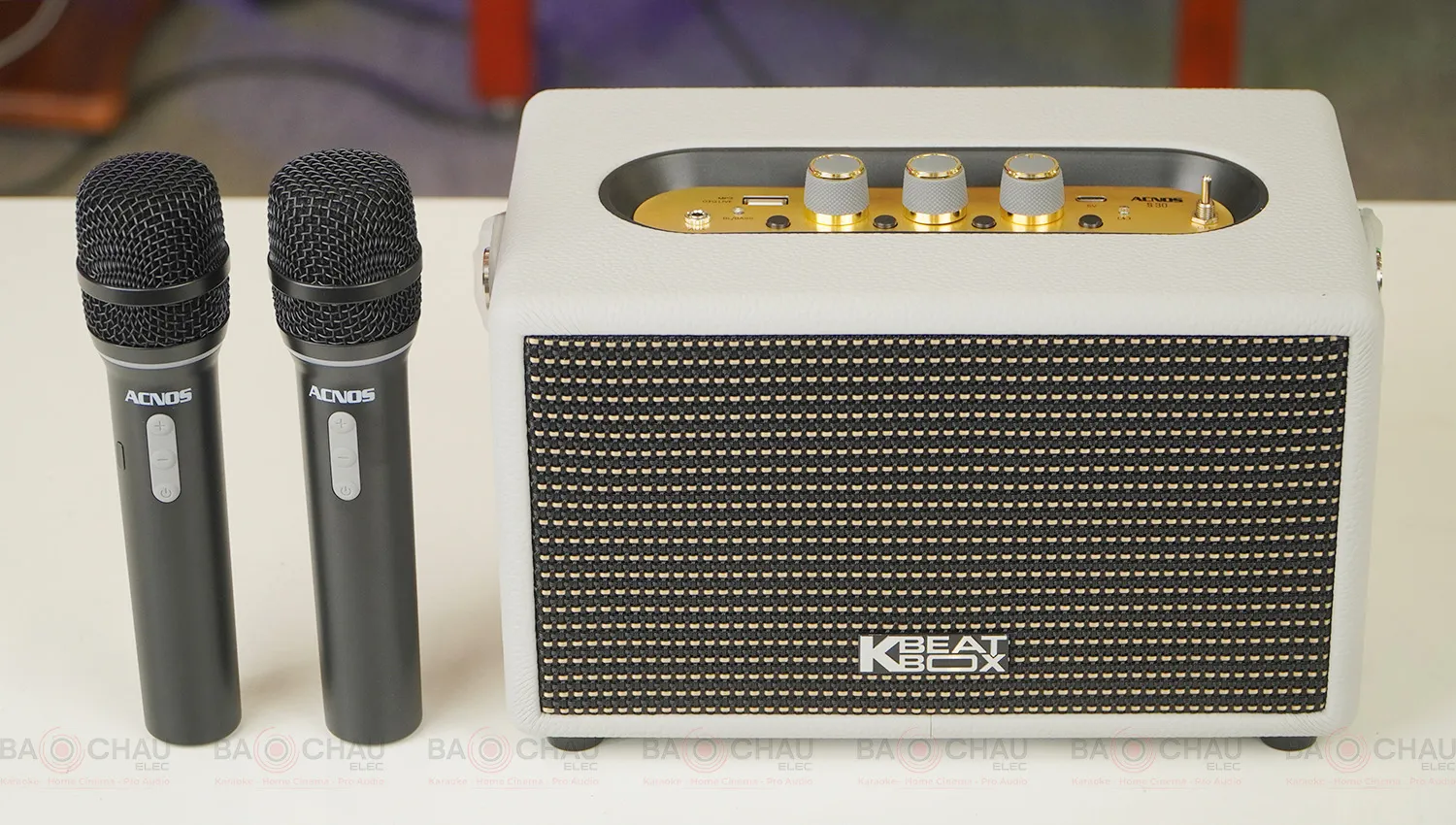 Loa x&aacute;ch tay Acnos S30