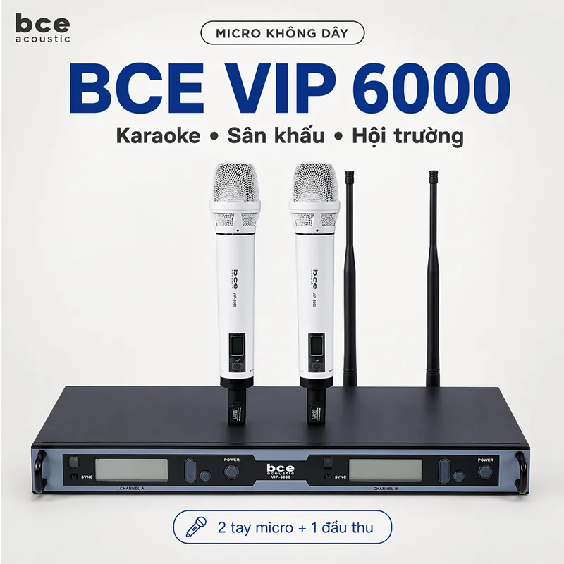 Micro không dây BCE Vip 6000