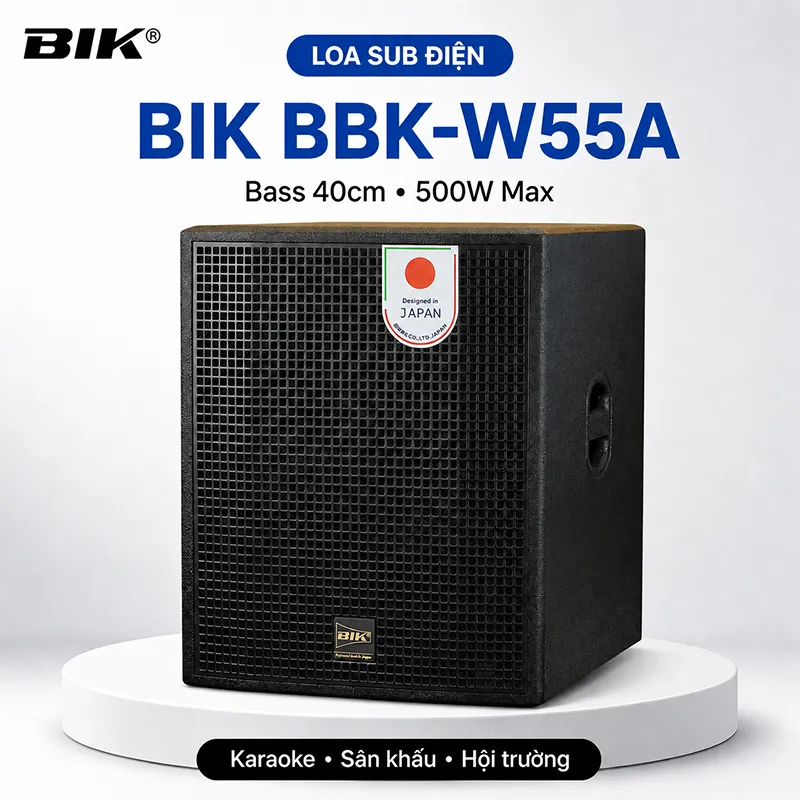 Loa sub điện BIK BBK-W55A (Bass 40cm)