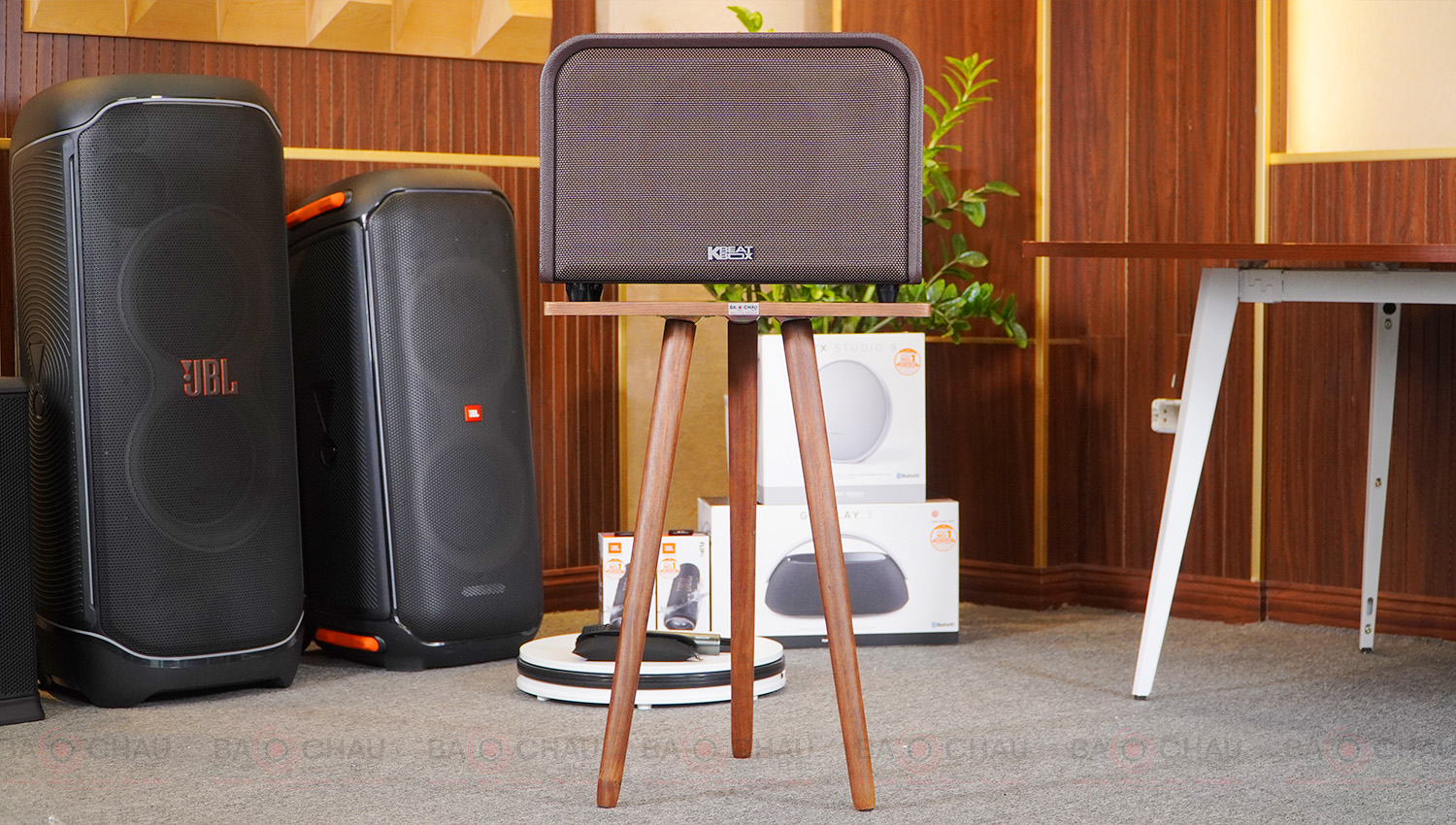 Loa Acnos Acoustic 3