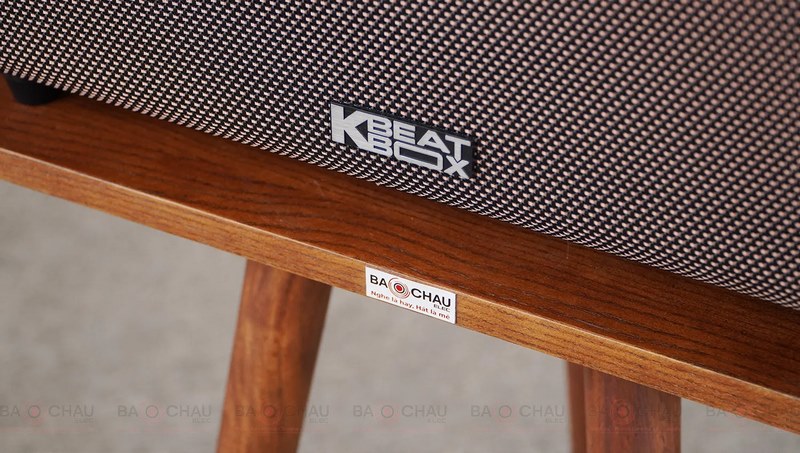 Loa ACNOS ACOUSTIC 3