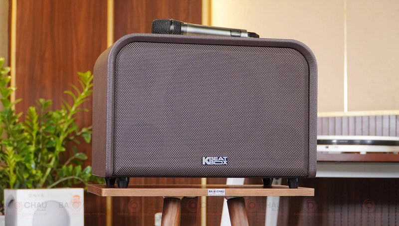 Loa ACNOS ACOUSTIC 3