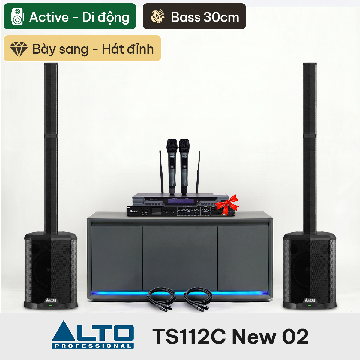 Combo loa cột Alto TS112C New 02