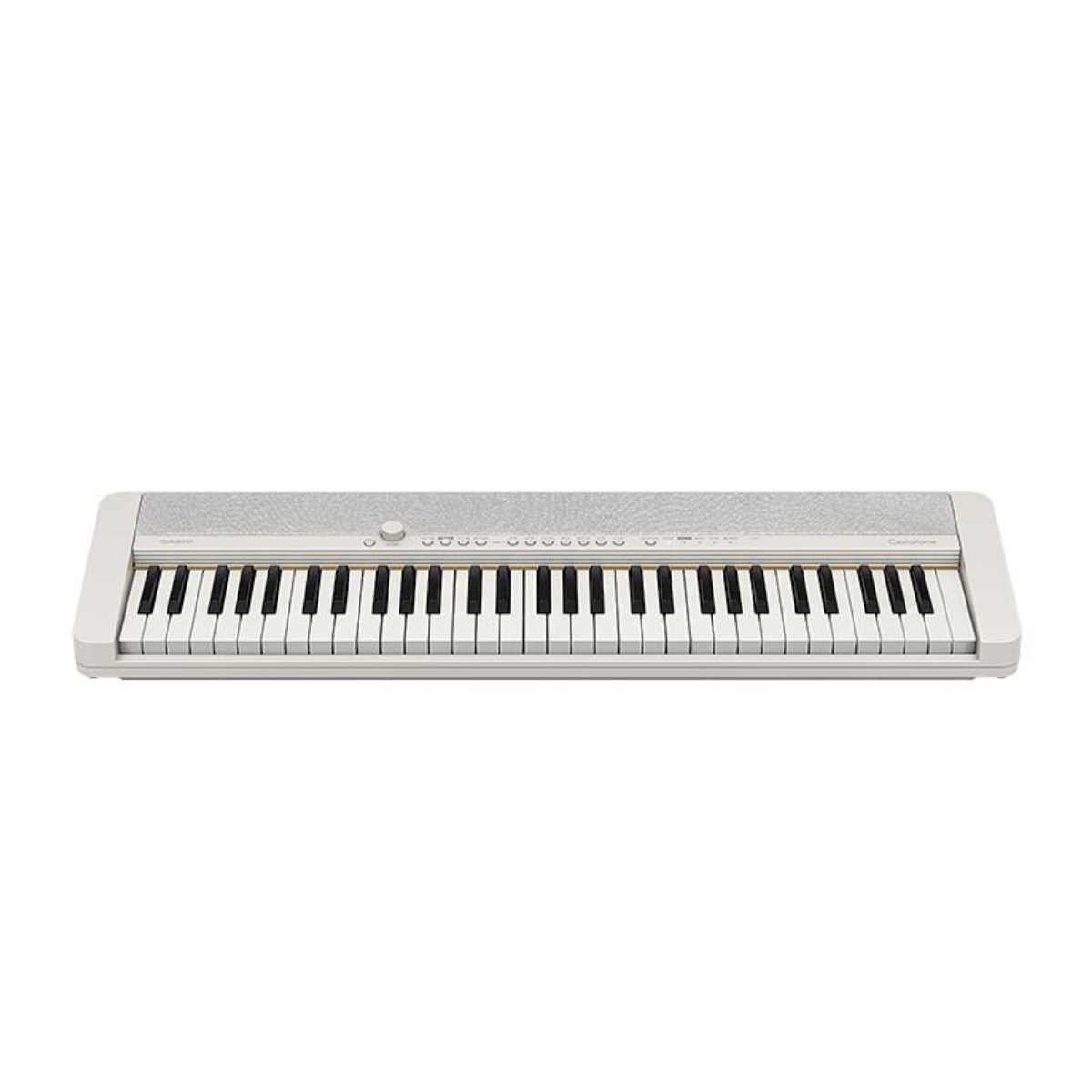 Đàn Organ Casio CT-S1 - Hình 2