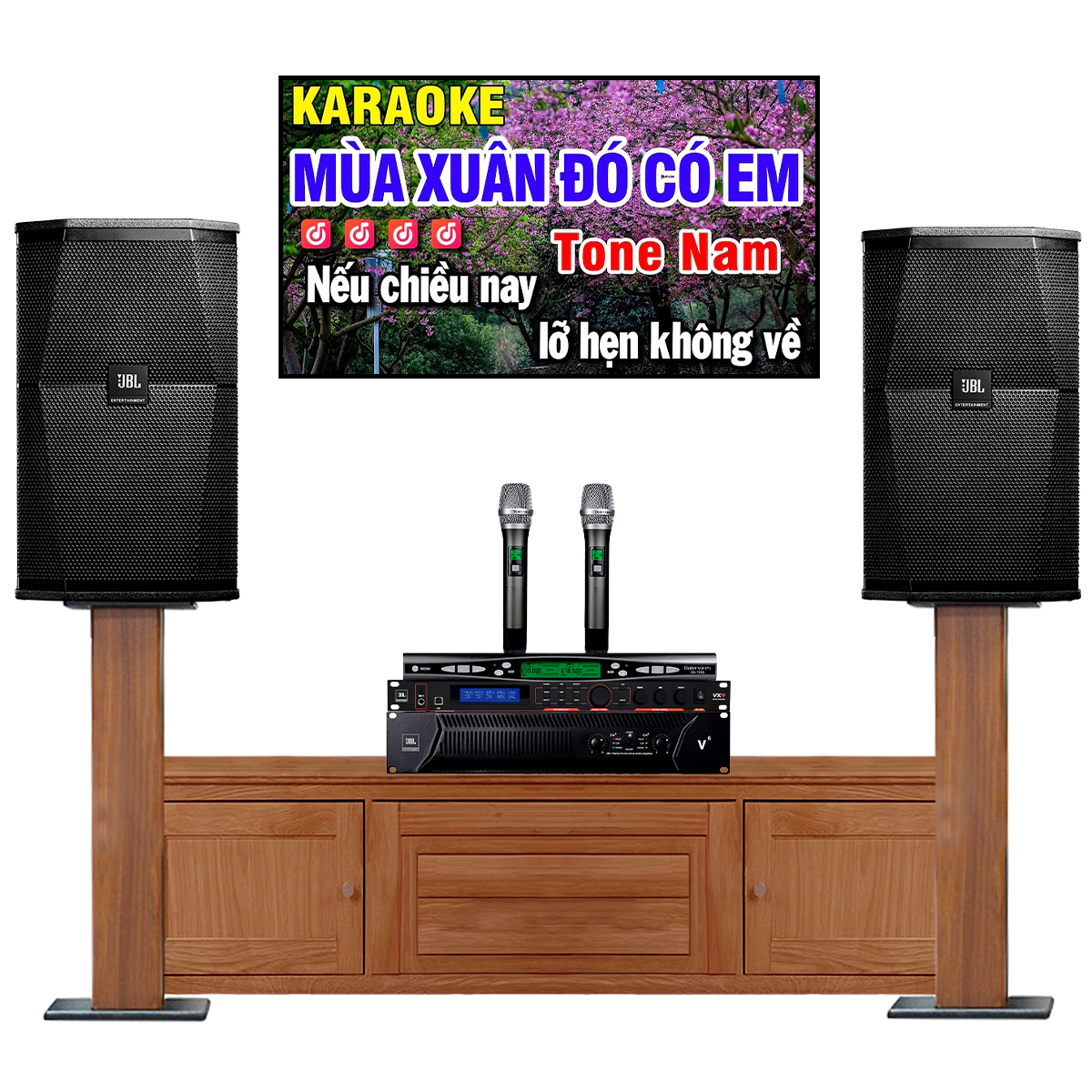 Dàn karaoke JBL cao cấp 26 (JBL XS08, JBL V6, JBL KX190, Baiervires BS-790s) - Hình 1