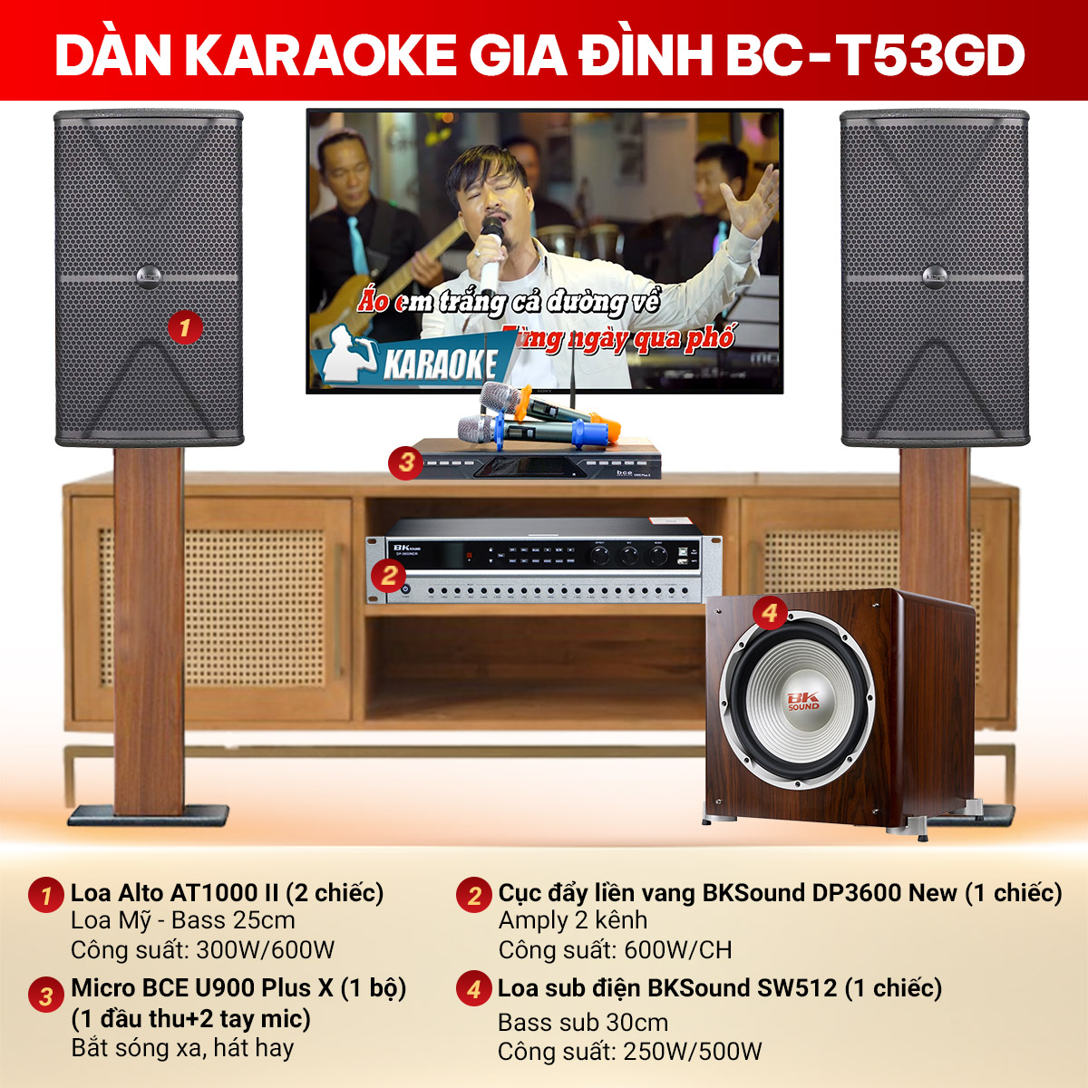 d&agrave;n karaoke BC-T53GD