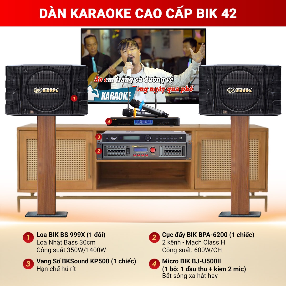 D&agrave;n Karaoke Cao Cấp BIK 42