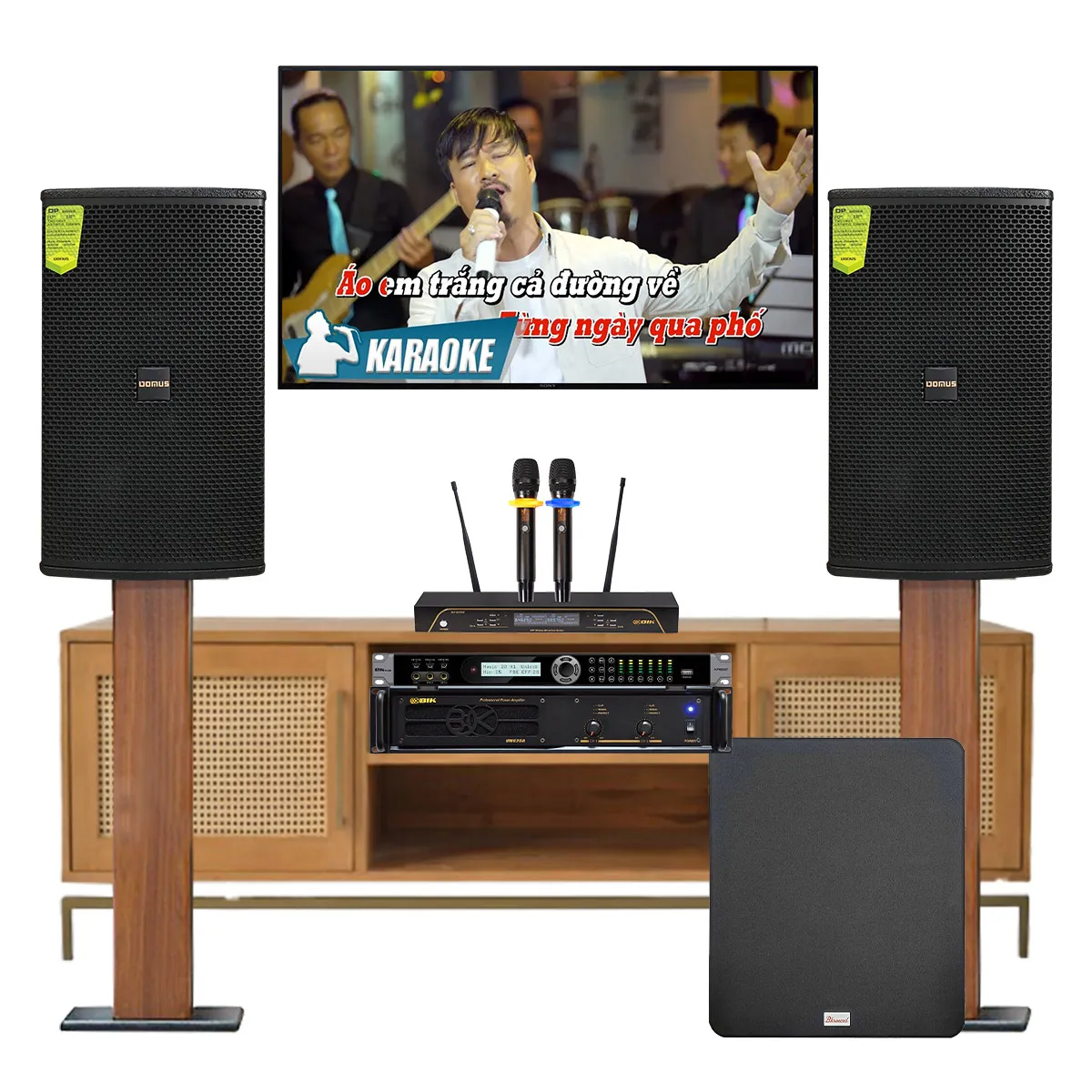 Dàn karaoke Domus cao cấp 10