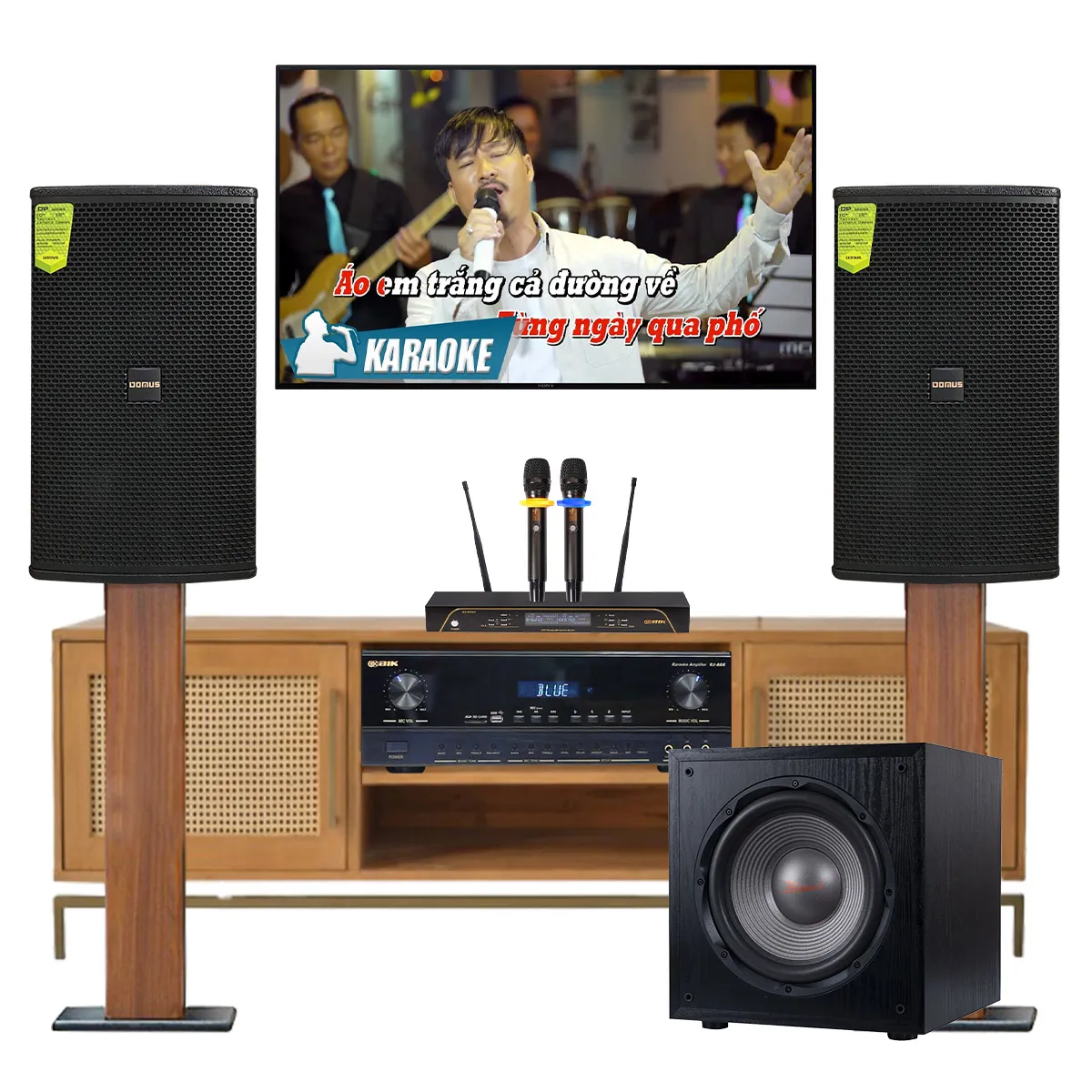 Dàn karaoke cao cấp Domus 12