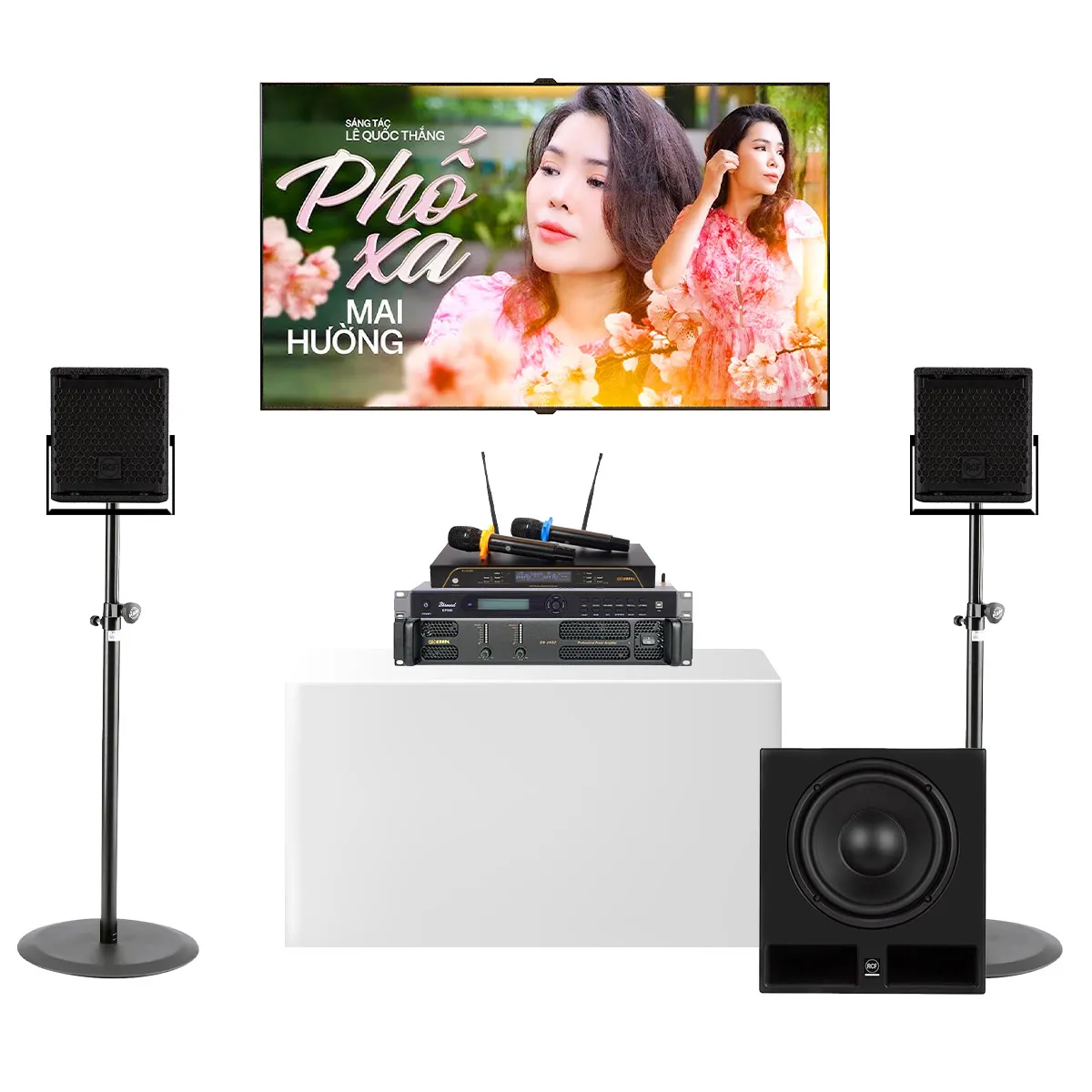 Dàn karaoke cao cấp RCF cho chung cư, biệt thự 04