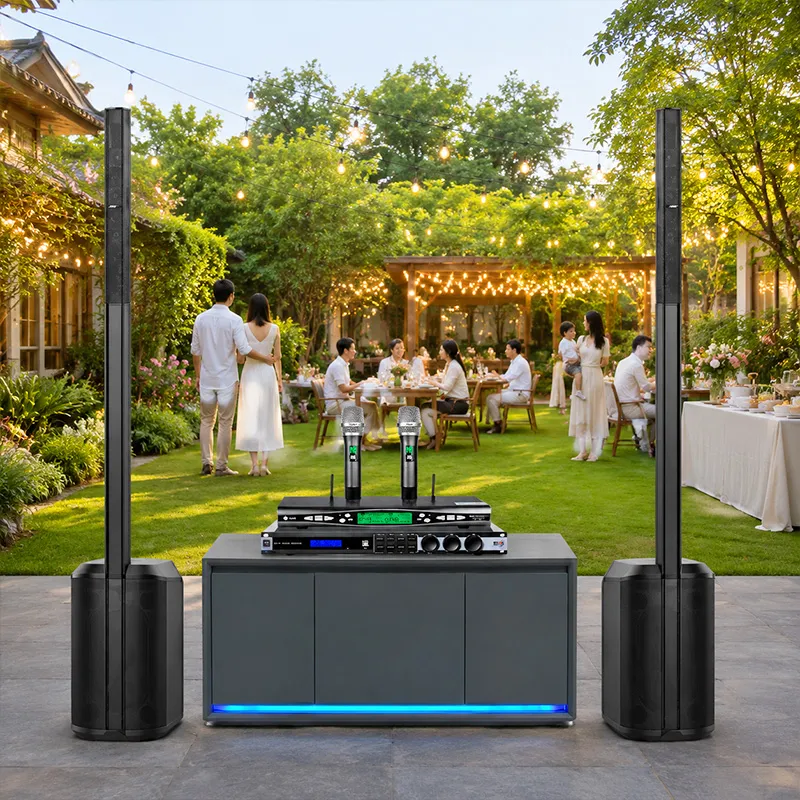 Dàn karaoke di động Bose 03