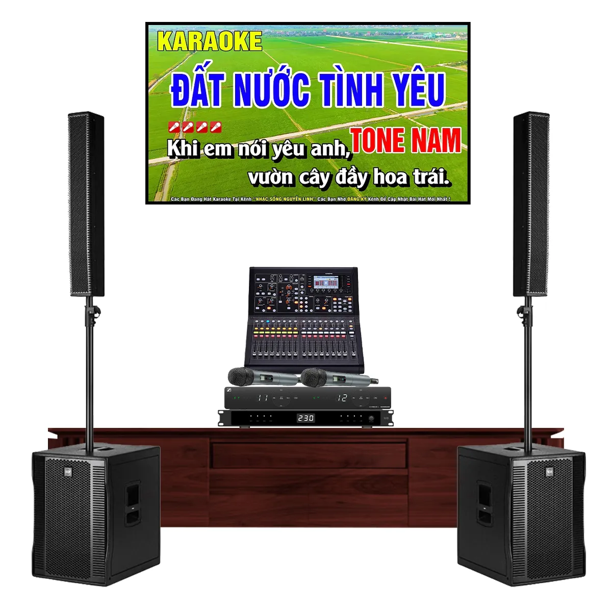 Dàn karaoke di động RCF 08