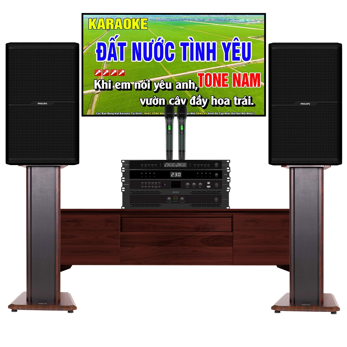 Dàn karaoke đồng bộ Philips 02 (CSS2807/70,CSS2551/70, CSS3751/70, CSS3321/70, Philips M8) - Hình 7