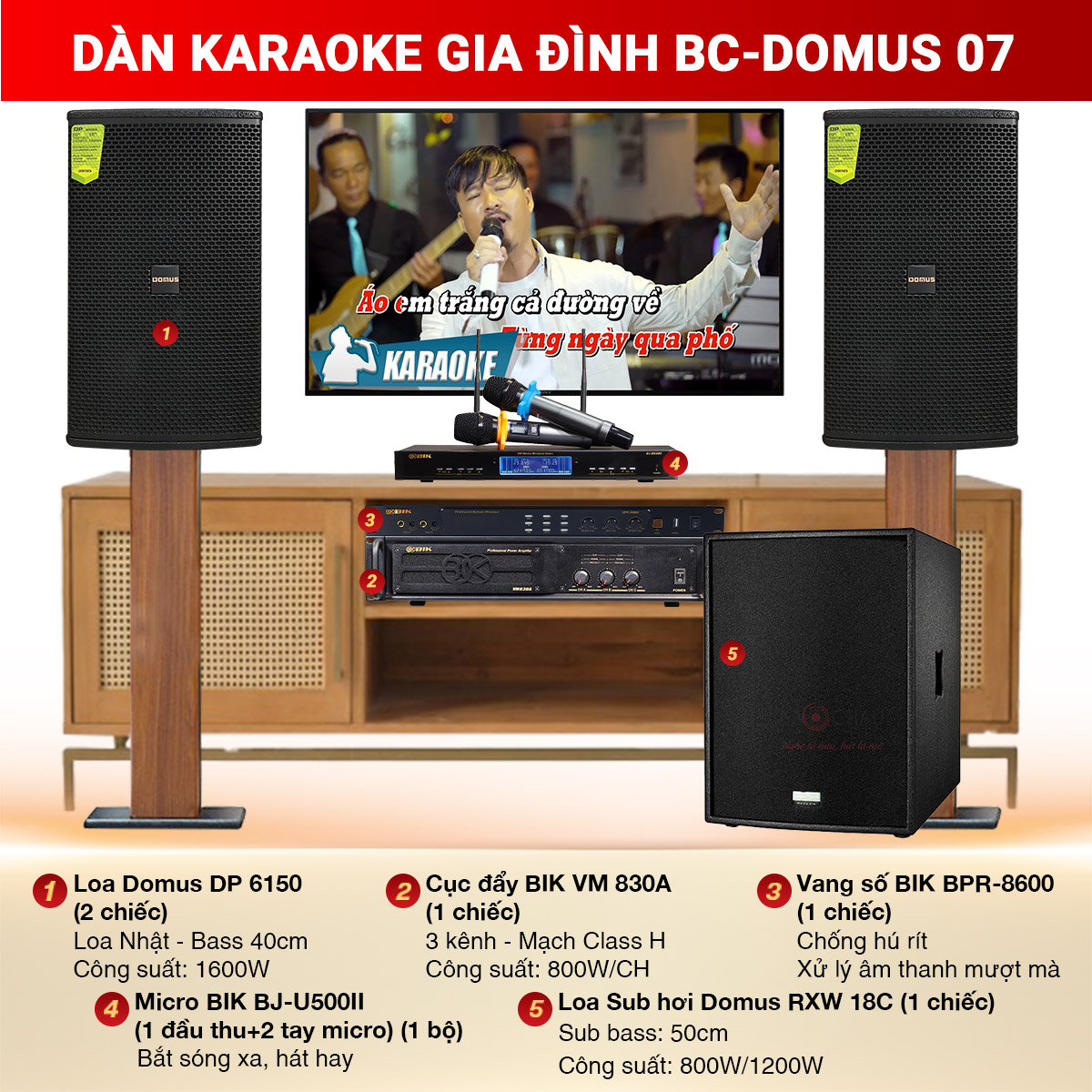D&agrave;n karaoke gia đ&igrave;nh BC-Domus 07