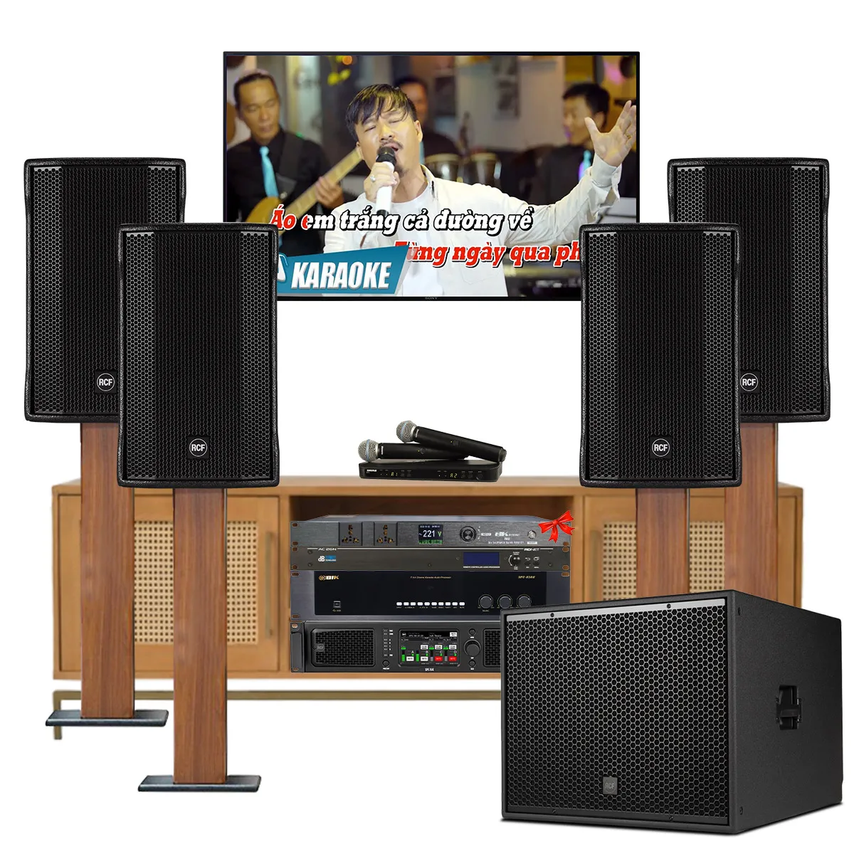 Dàn karaoke gia đình, biệt thự vip RCF 02