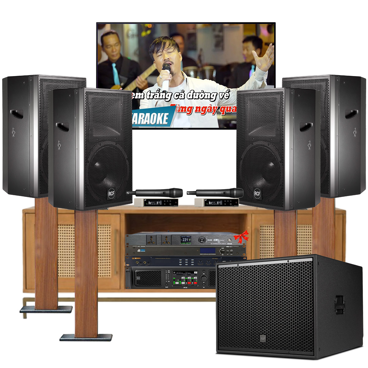 Dàn karaoke gia đình, biệt thự Vip RCF 05