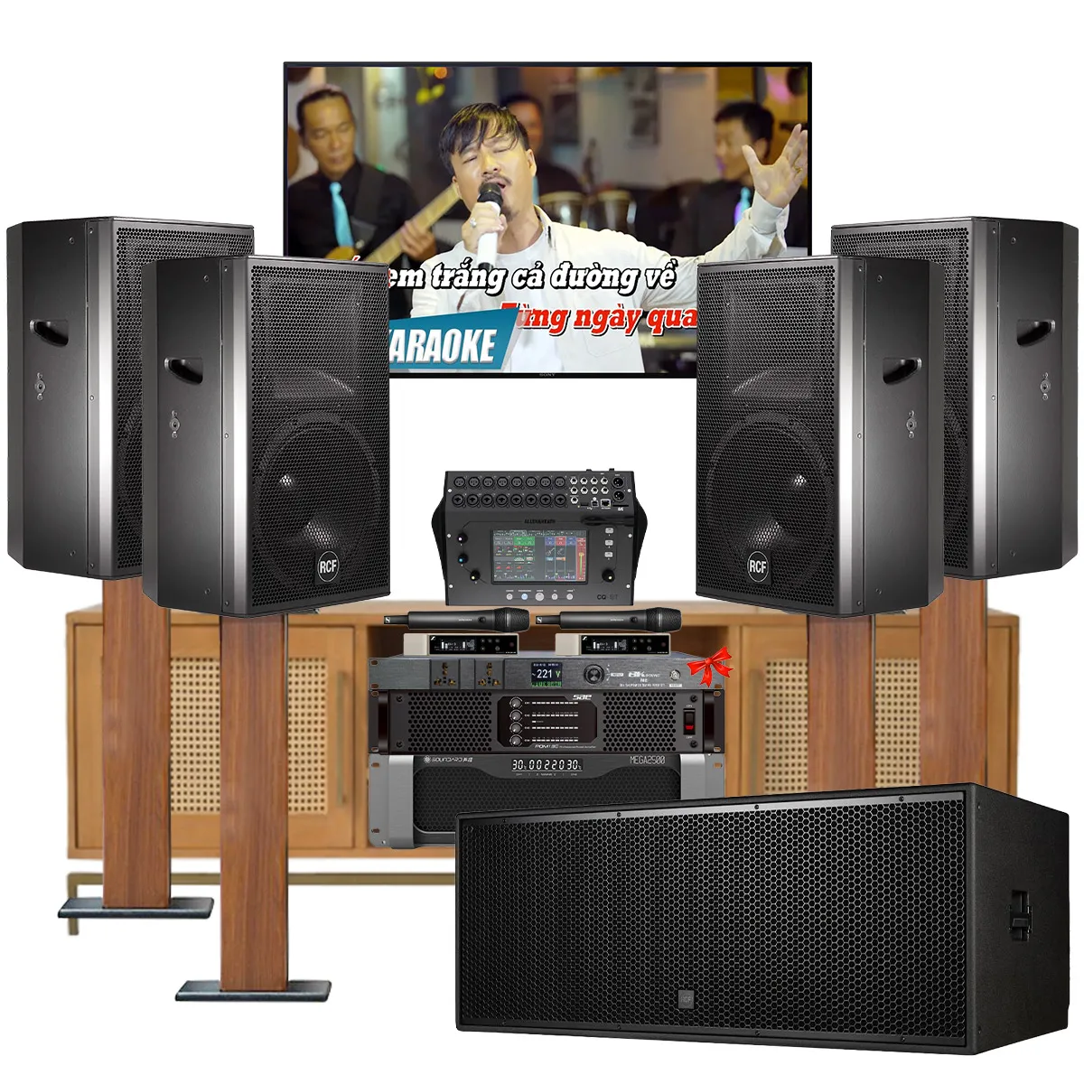 Dàn karaoke gia đình, biệt thự vip RCF 08