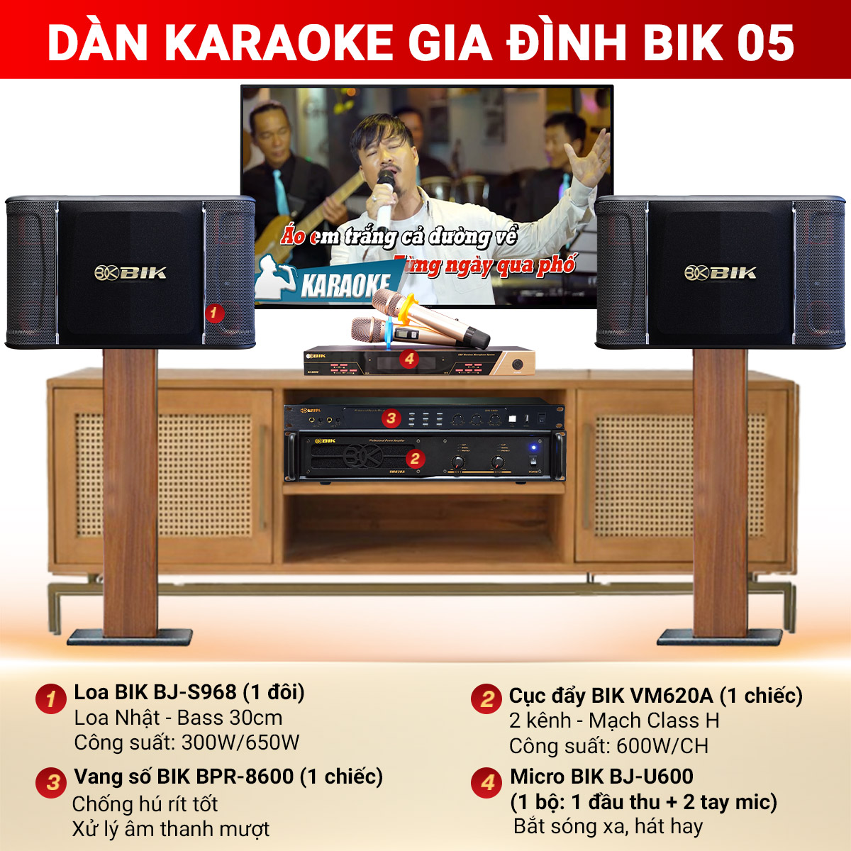 D&agrave;n karaoke gia đ&igrave;nh BIK 05