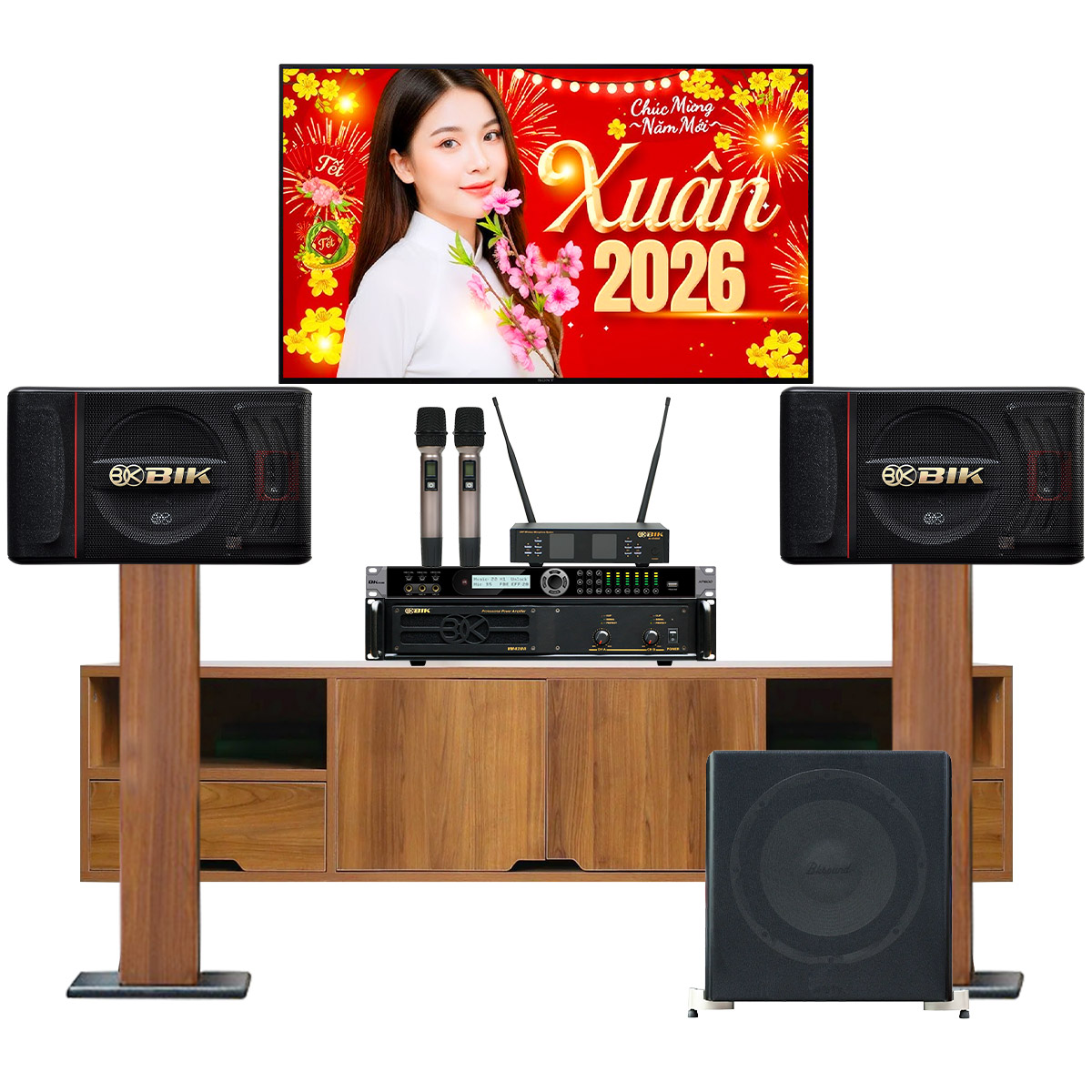 Dàn karaoke gia đình BIK13