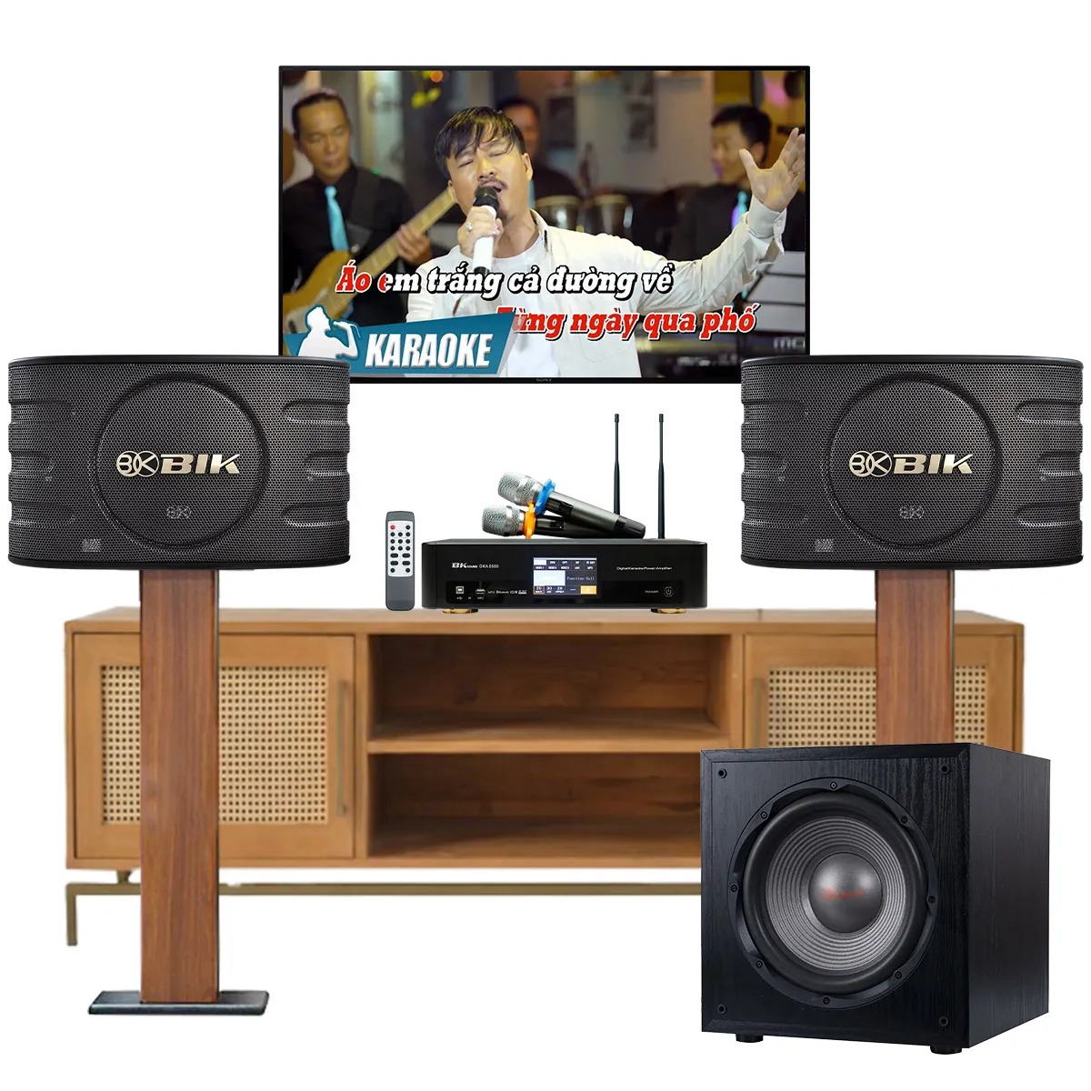 Dàn karaoke gia đình BIK 25