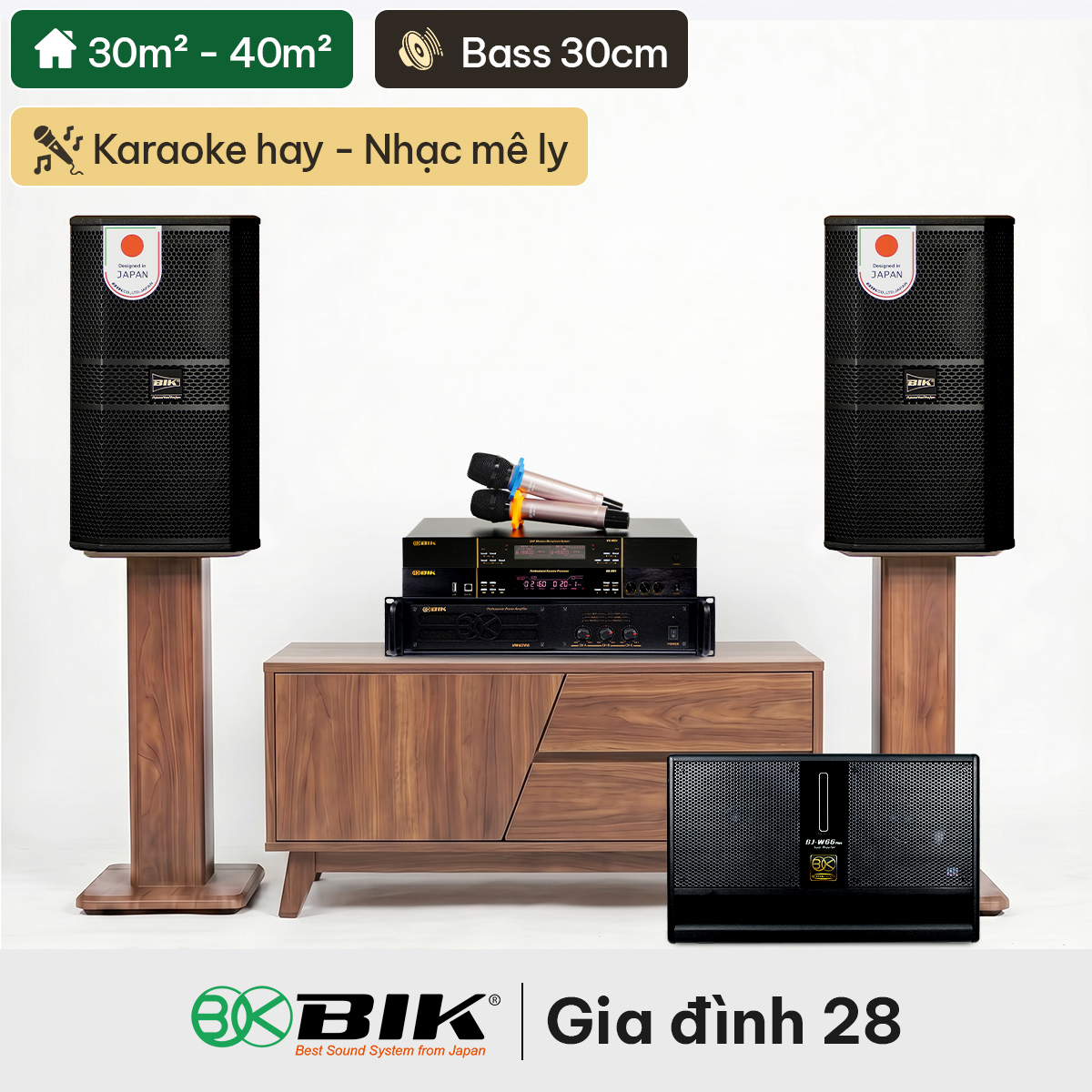 Dàn karaoke gia đình BIK 28