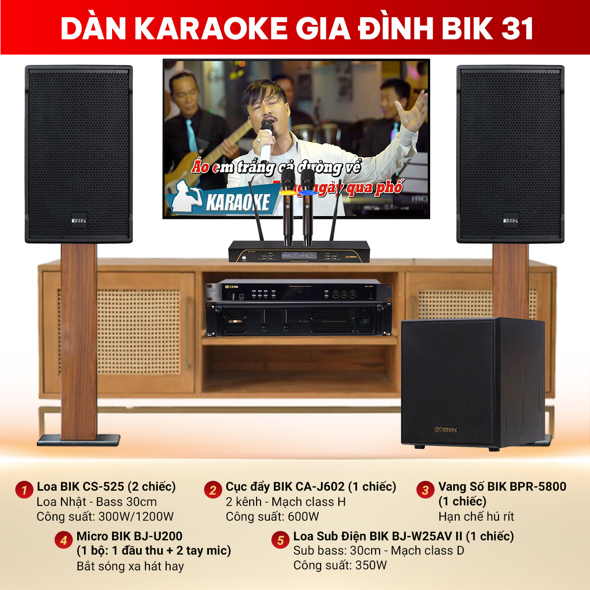 D&agrave;n karaoke gia đ&igrave;nh BIK 31