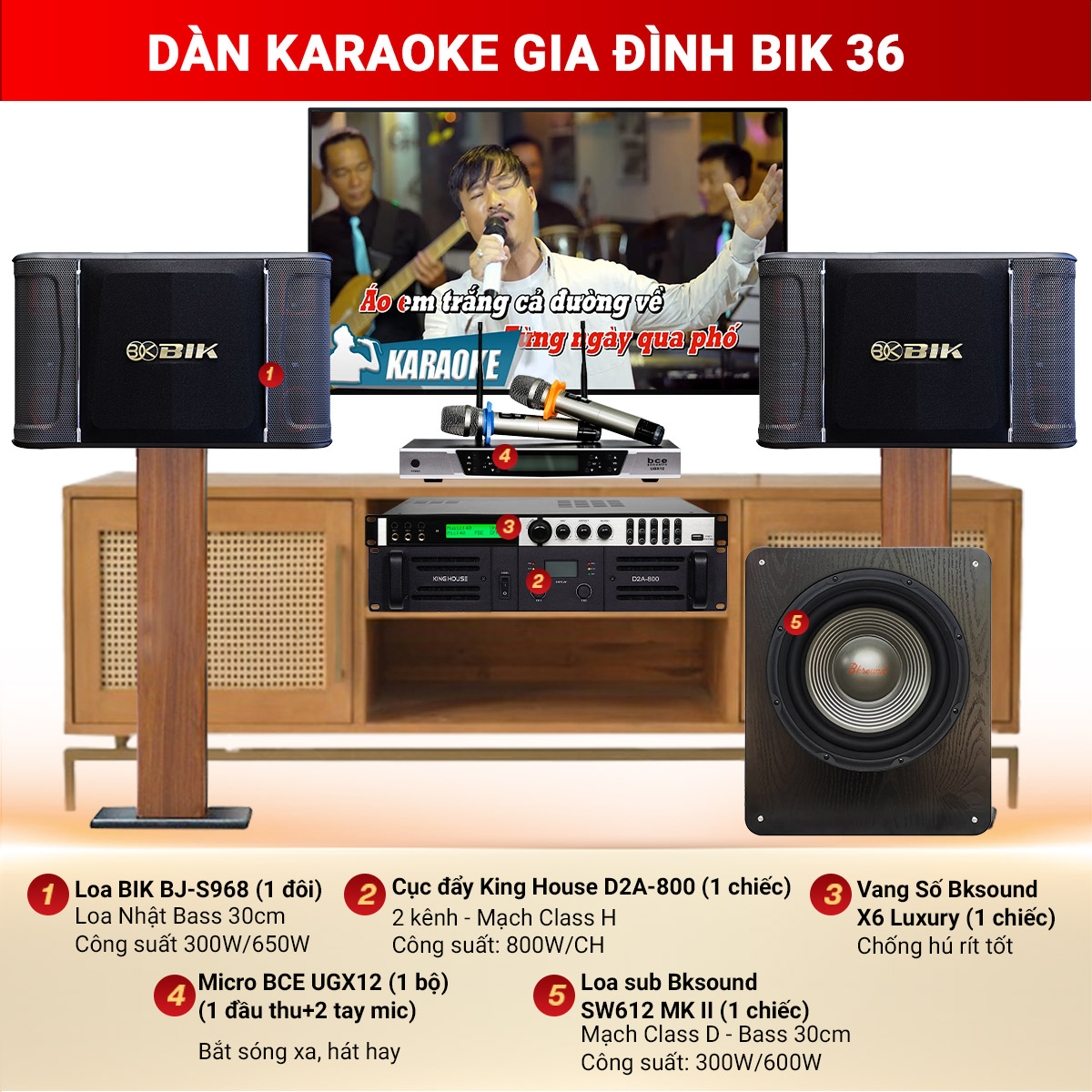 D&agrave;n Karaoke Gia Đ&igrave;nh BIK 36