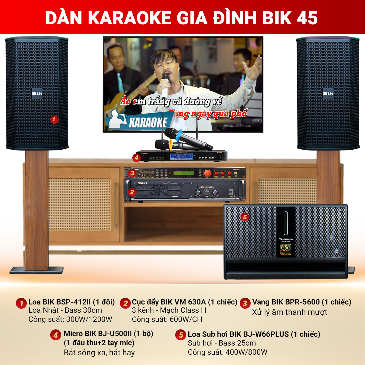 D&agrave;n karaoke gia đ&igrave;nh BIK 45