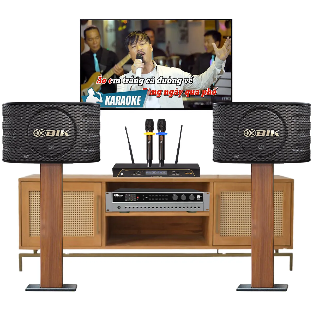 Dàn karaoke gia đình BIK 48