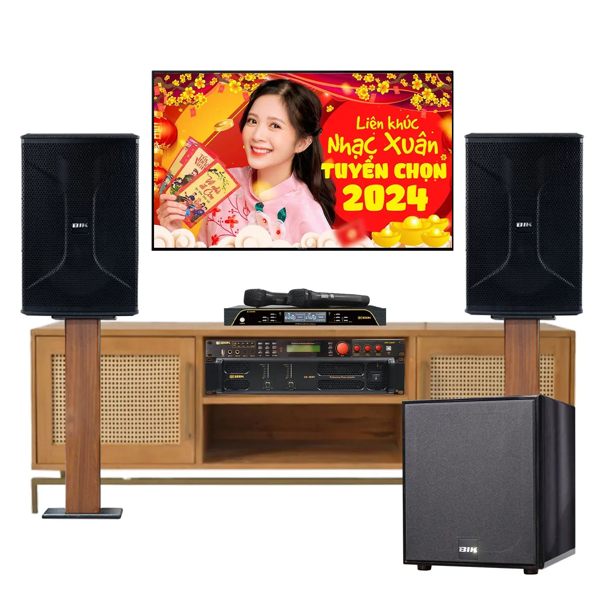 Dàn karaoke gia đình BIK 49