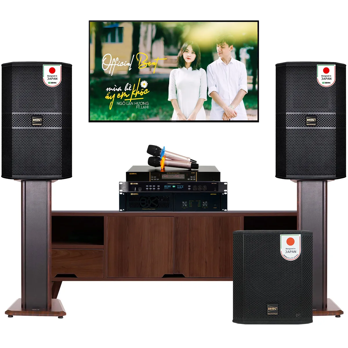 Dàn karaoke gia đình BIK 51