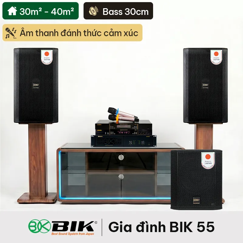 Dàn karaoke gia đình BIK 55