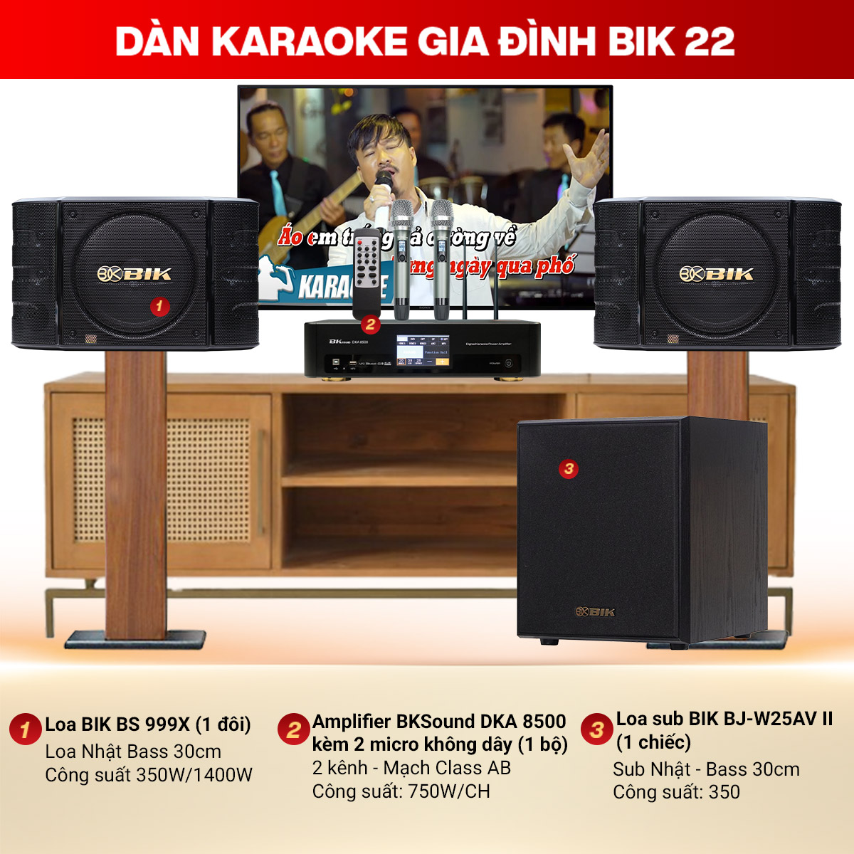 D&agrave;n Karaoke Gia Đ&igrave;nh Cao Cấp BIK 22