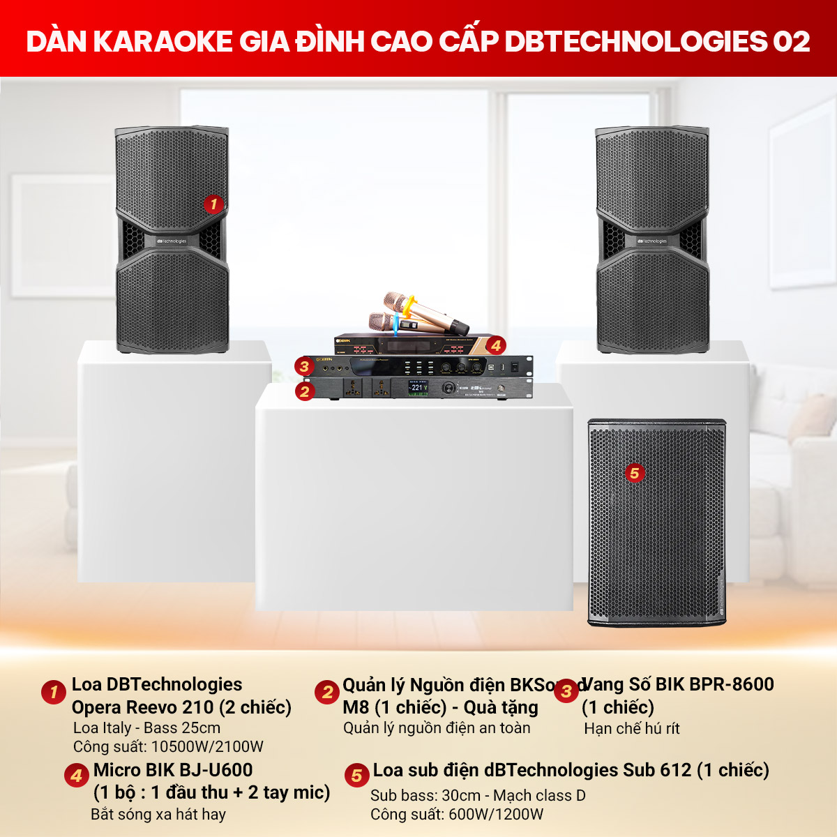 D&agrave;n karaoke gia đ&igrave;nh cao cấp dBTechnologies 02