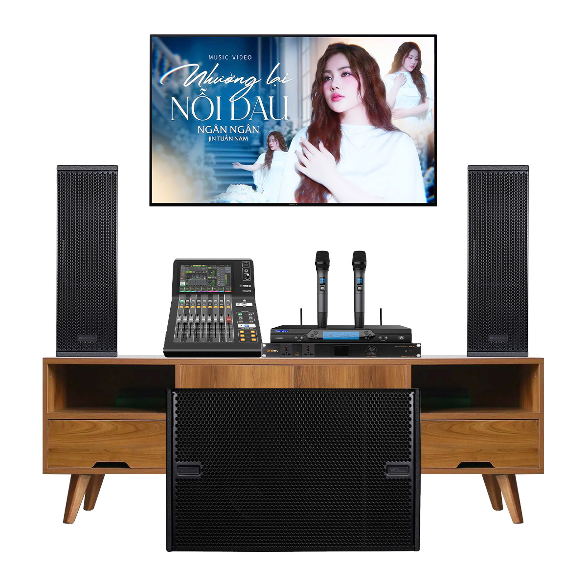 Dàn karaoke gia đình cao cấp dBTechnologies 06