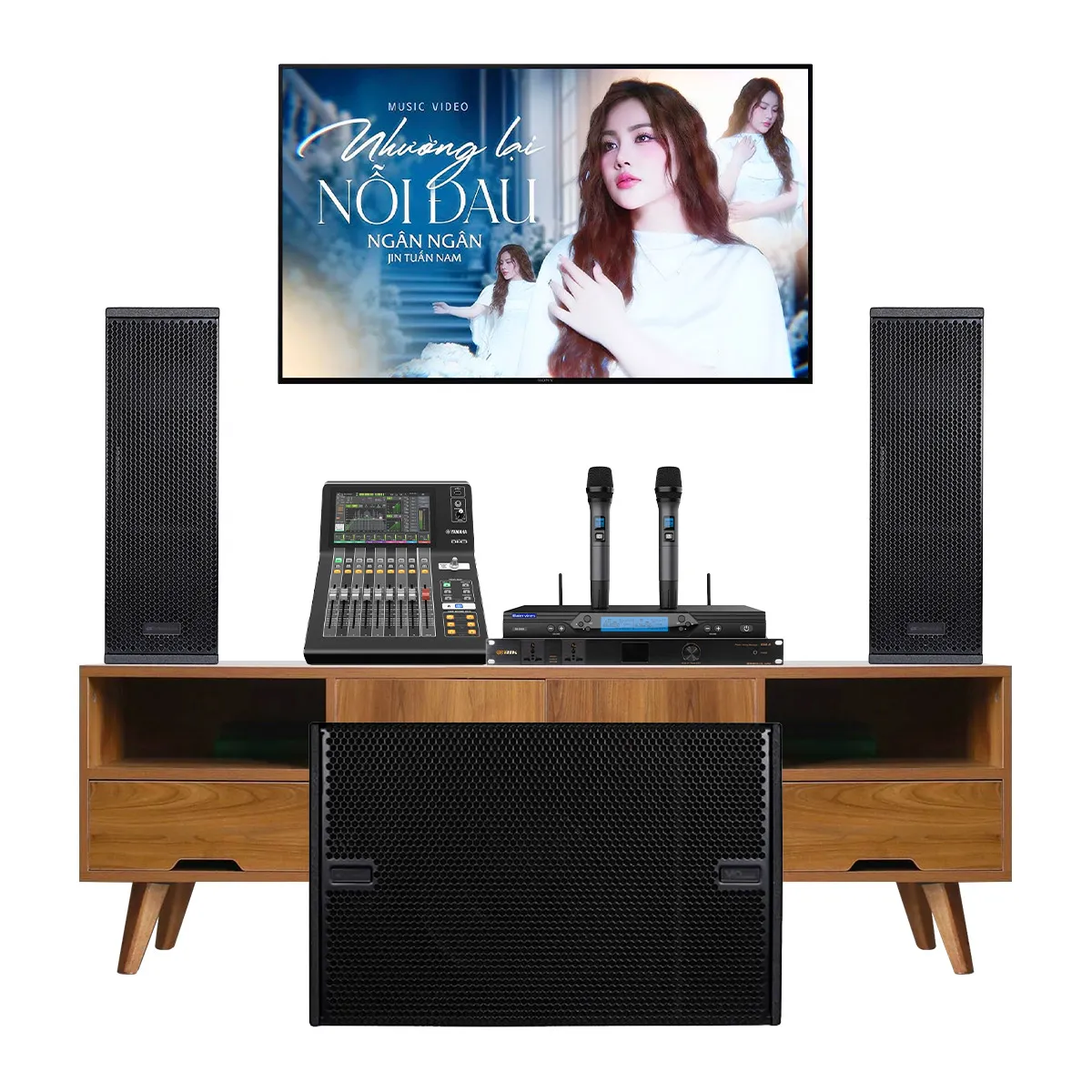 Dàn karaoke gia đình cao cấp dBTechnologies 06