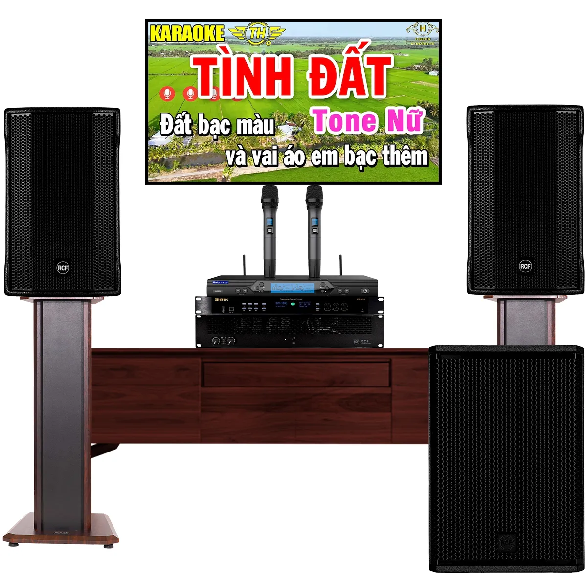 Dàn karaoke gia đình cao cấp RCF 01