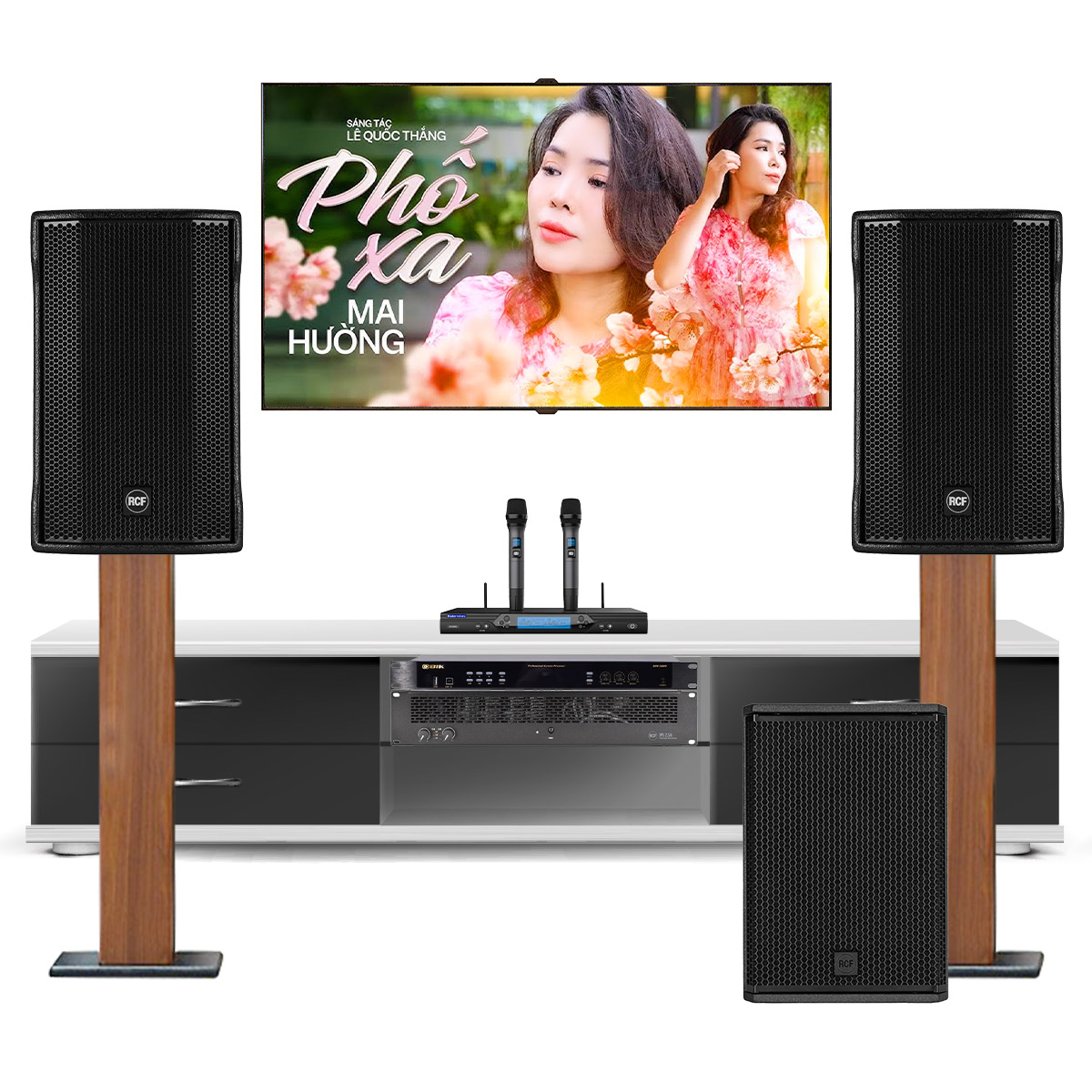 Dàn karaoke gia đình cao cấp RCF 01