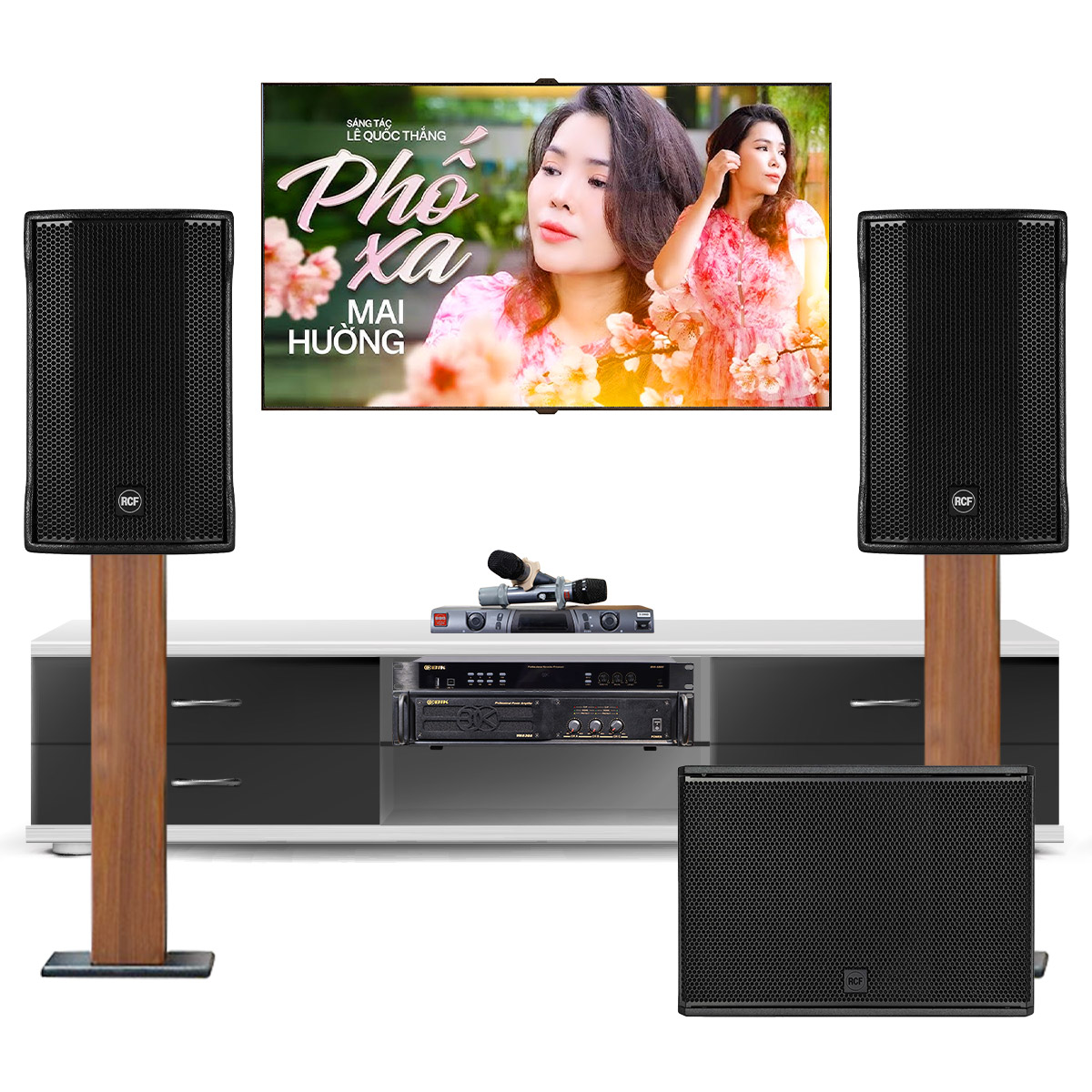 dàn karaoke gia đình cao cấp RCF 06
