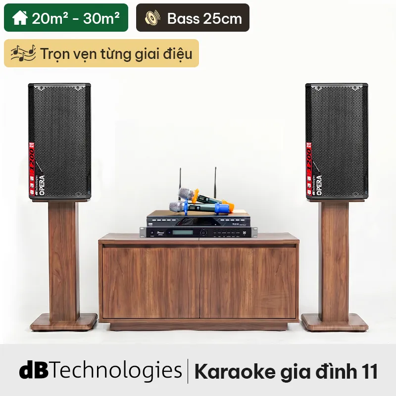 Dàn karaoke gia đình dBTechnologies 11