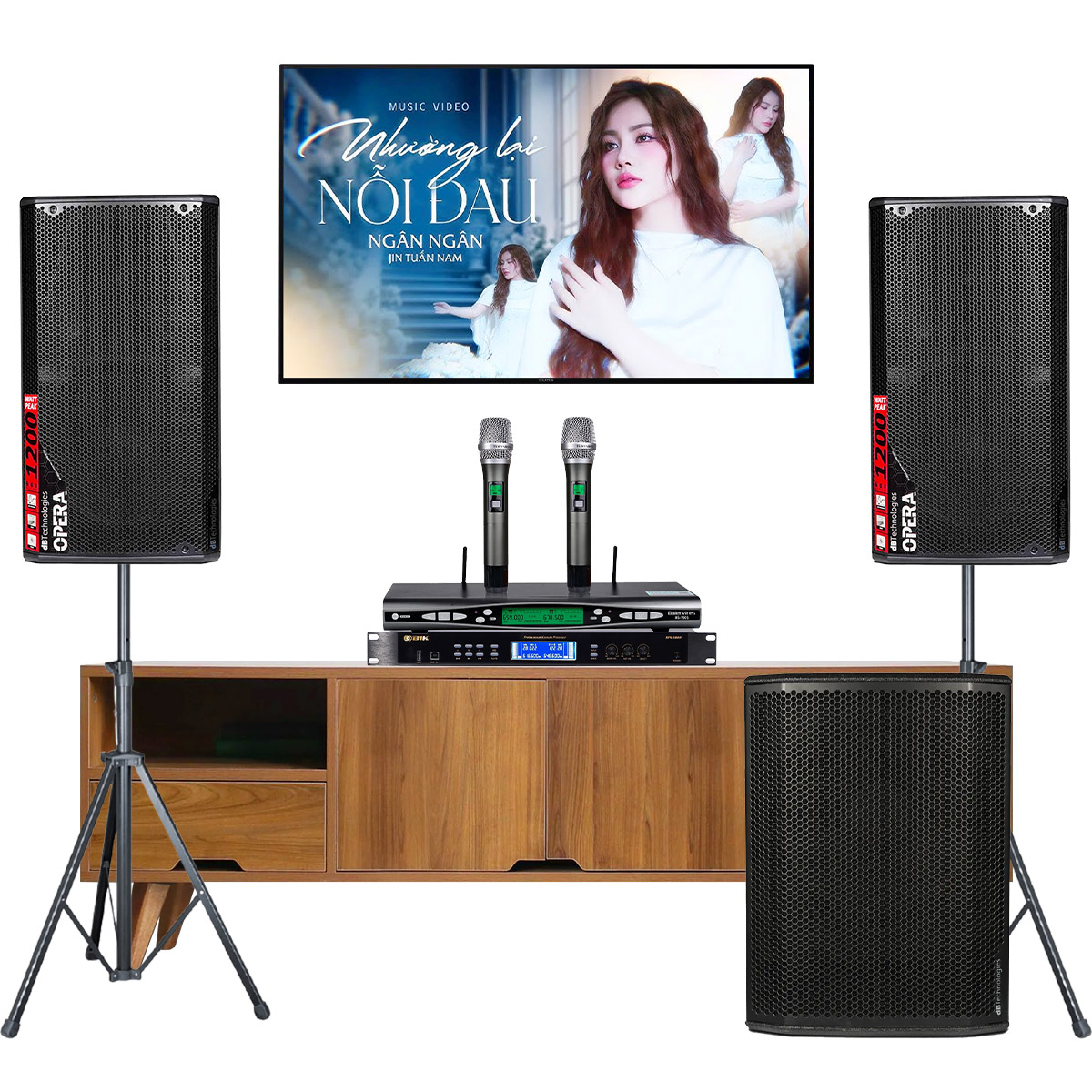 Dàn karaoke gia đình dBTechnologies 14 (dBTechnologies OPERA 12, BIK BPR-5800, Sub615, Baiervires BS-790S) - Hình 1