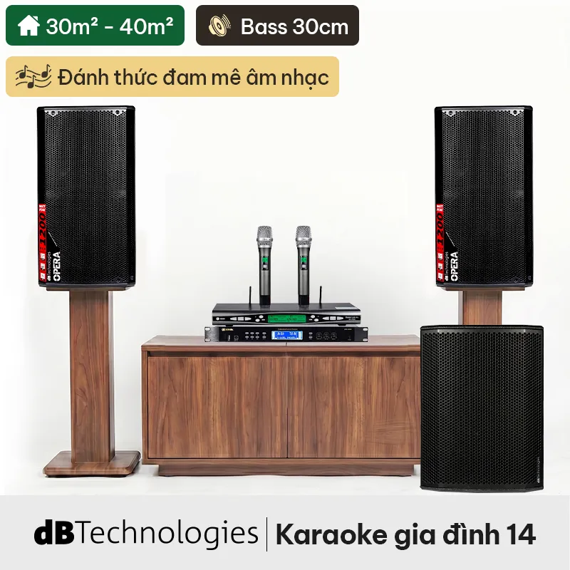 Dàn karaoke gia đình dBTechnologies 14