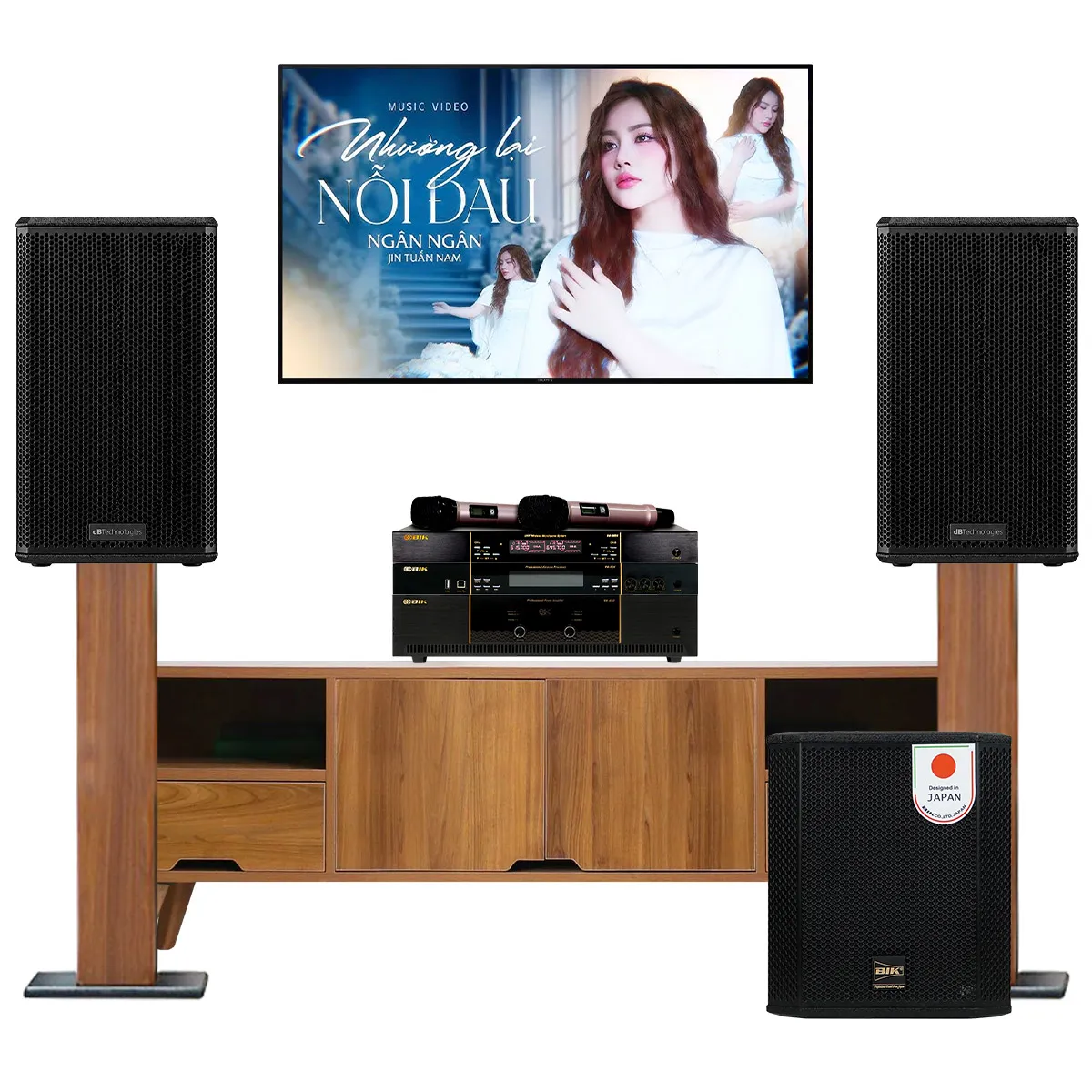 Dàn karaoke gia đình dBTechnologies 19